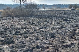 Hořelo v CHKO Brdy, hasiči vyhlásili druhý stupeň poplachu - Novinky