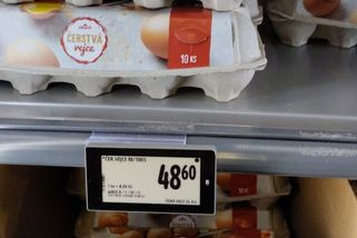 Vejce v obchodech výrazně zdražila - Novinky