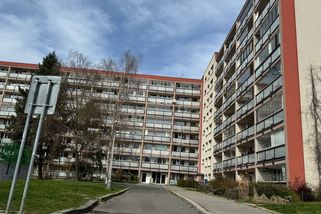 Podmínka za vraždu manželky. Důchodce v 94 letech už péči o nemohoucí ženu nezvládl - Novinky