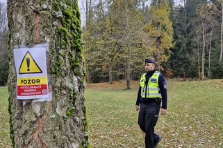 Myslivec během honu na Brněnsku zastřelil kolegu - Novinky