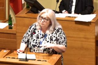 Odpudivý a nepřijatelný rasismus, reagují politici na slova senátorky Zwyrtek Hamplové | Novinky.cz: Domácí