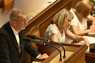 Babiš má řešení pro migraci: Rozestavět ozbrojené složky po plážích - Novinky