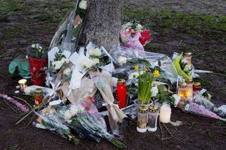 Mladý muž ve Francii ubodal 11letou školačku, když se šel uklidnit po prohrané počítačové hře - Novinky