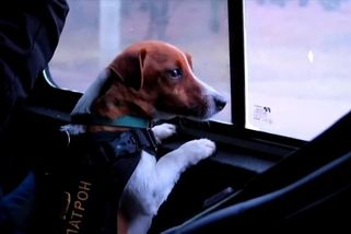 Video, které vezme za srdce: Zelenskyj ukázal 1000 dní strádání a odvahy | Svět