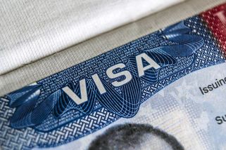 Aby Američané netrpěli jako Trump. Bojovníci s dezinformacemi nedostanou vízum do USA - Novinky