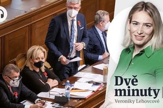 Glosa: Nebezpečný vzkaz ze Sněmovny - Seznam Zprávy