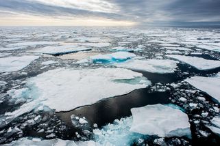 Arktický mořský led dosáhl historicky nejnižšího maxima - Novinky