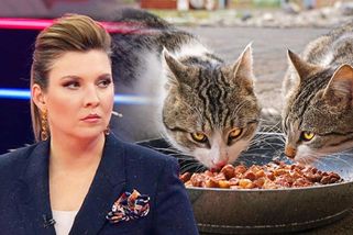 Putinova vrchní propagandistka opět v ráži: Lidé v Anglii jedí kvůli válce kočičí žrádlo, tvrdí – eXtra.cz