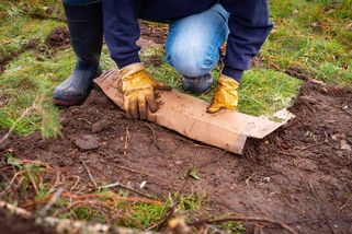 Rytí může půdě škodit. Zkuste letos záhony připravit na jaro jinak