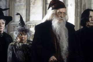 Seriálové Bradavice představují profesorský sbor, obsazení se nevyhne kontroverzím - Novinky