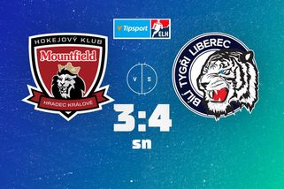 Sto střeleckých pokusů Hradce? To ve Švédsku nebývá, prohlásil Kváča - Sport.cz