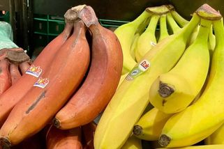Červené banány teď seženete i v Česku. Lidé je přehlíží, přitom jsou zdravější a sladší než žluté