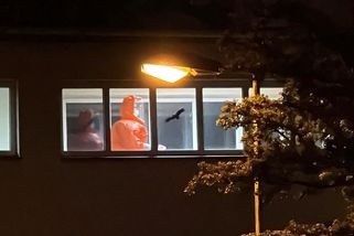 Z Tábora převezli do Prahy pacienta s podezřením na ebolu - Novinky