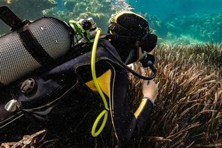 Nepojistil si rizikové sporty a vyrazil se potápět - Portál řidiče