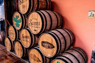 REPORTÁŽ: Zapomeňte na sůl, skořici i pomeranč. V Mexiku se tequila pije úplně jinak. A chutná mnohem lépe