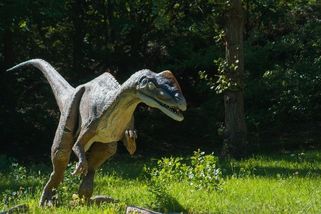 Dinosauři nevyhynuli? Kamera na americkém venkově zachytila podivné stvoření - Novinky