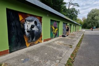 Ostrava má novou atrakci z nevzhledných garáží. Zdobí je malby místních zvířat - Novinky