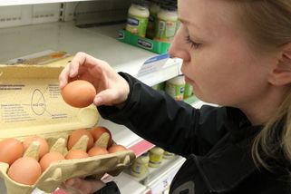 Na Česko se valí vaječná krize. Vajíčka nebudou, nebo zdraží dvojnásobně