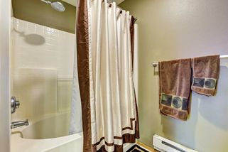 Sprchové závěsy končí: Češi přecházejí na elegantnější a praktičtější řešení - EnergoZrouti.cz