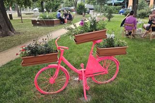 Za přebarvené kolo s kytkami 13 tisíc? Lidé v Praze 4 si stěžují na plýtvání, v Jižních Čechách to šlo zdarma - Novinky