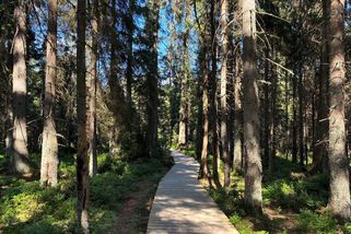 Tajemné pověsti a historie stezky Kladská; na výlet k Mariánským lázním - Médium.cz