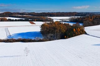 Únor podle nové předpovědi popírá všechna pravidla. Meteorologové mluví o anomálii, která vzniká jednou za desetiletí