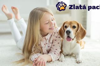 Nejlepší psi k dětem: Bígl, pudl, retrívr... Kdo je kliďas, pohodář nebo rodinný kašpárek? - Proženy.cz