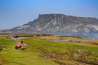 V Jižní Koreji došla trpělivost s nevychovanými turisty. Populární ostrov je bude pokutovat - Novinky