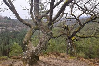 Dva skalní krasavci spí nedaleko Hamerského jezera - Médium.cz