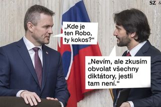 TMBK: Hledá se Fico. Naštěstí je jasné, kde vězí - Seznam Zprávy