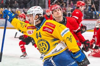 Češi dominují ve Švýcarsku. Stránský vládne střelcům, Zadina je třetí - Sport.cz