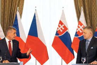 „Jsou i rozdílné pohledy.“ Babiš a Fico vezou ministry k jednomu stolu - Seznam Zprávy