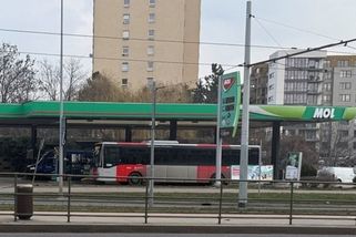 prahain.cz/doprava/prijel-videl-cenu-ujel-benzinky-celi-novemu-trendu-26601.html