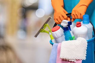 Česká veřejnost si víc váží uklízeček než poslanců či ministrů – faei.cz