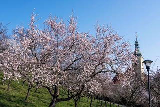 Březen byl nadprůměrně teplý a mimořádně suchý - Novinky