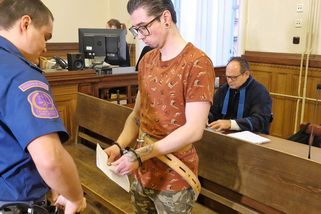 Kamarád mu vyhodil potkana z okna, tak mu za to propíchl krk šroubovákem. Odsedí si 11,5 roku - Novinky