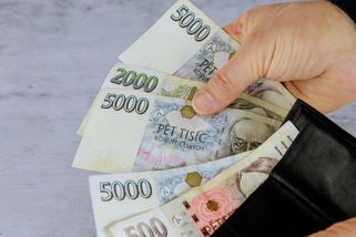 Navždy ti druzí. Na standard německé střední třídy nedosáhne 2/3 Čechů, platy jsou tu podhodnocené o 30 %