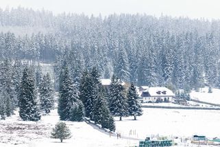 Výraznější sněžení se čeká na východě Česka, může napadnout až 30 cm - Seznam Zprávy