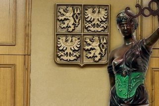 Vinař z Lednice zmlátil exmanželku latí tak, až jí zlomil žebra. Nic vážného, nepáral se s tím soud - Novinky