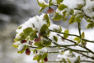 Bouřky, mrazíky i přes 20 stupňů. Týden nabídne pestrou škálu počasí - Novinky