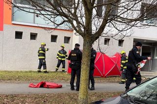 Drama v plzeňském bytě. Agresor před policisty vyskočil ze 7. patra - Novinky