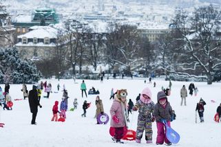 FOTO: Děti na bobech, sáních a pekáčích vzaly zasněžené kopce útokem - Novinky
