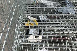 prahain.cz/zivot-ve-meste/v-lidlu-vyvolala-konflikt-s-ostrahou-obycejna-platena-taska-26201.html