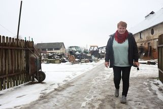 Pojišťovna farmářce za milionovou škodu poslala pakatel. Otočila ze dne na den až pod hrozbou zveřejnění - Novinky