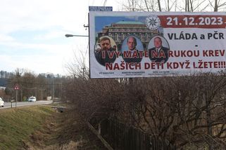 Máte na rukou krev našich dětí, kritizuje na billboardu Rakušana matka oběti střelby z fakulty - Novinky