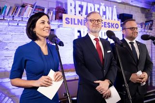 Interní průzkum k eurovolbám: STAN má potenciál přeskočit Spolu - Seznam Zprávy