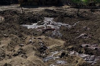 U rakouských hranic zahrabali Maďaři 3000 krav, bublají tam na povrch plyny a tekutiny - Novinky