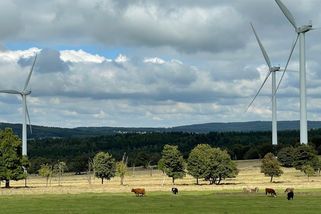 Krajské volby rozhodnou i o větrných a solárních parcích. Kandidáti se jim ale vyhýbají