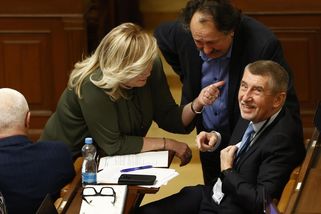 Politici nedostali plat za leden - Novinky