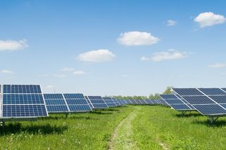 Zelený byznys mecenášů Motoristů. Budou za ně kopat na ministerstvu životního prostředí? - Novinky